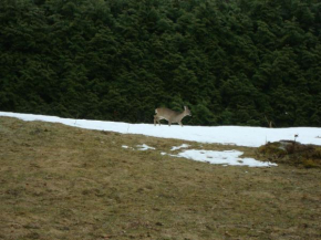 Le Manège Est